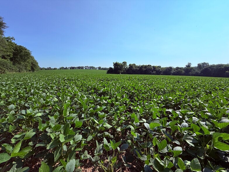 More Photos Of Walnut Hill Ln. (36.31+/- Acres), Elsberry Land For Sale