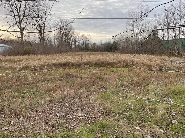 More Photos Of 0 Van Dyke Rd, Almont Township Land For Sale