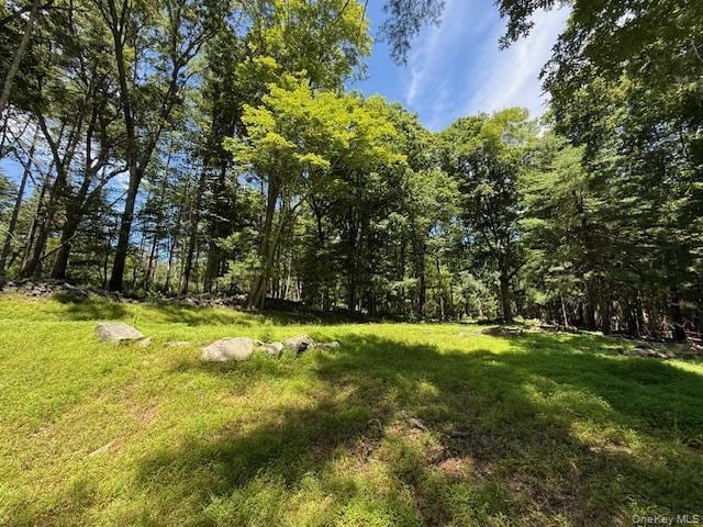 More Photos Of 25 State Route 55, Barryville Hotel For Sale