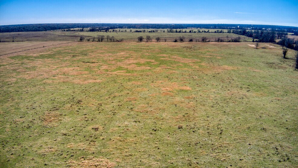 More Photos Of 42919 Addie Gee rd, Hempstead Land For Sale