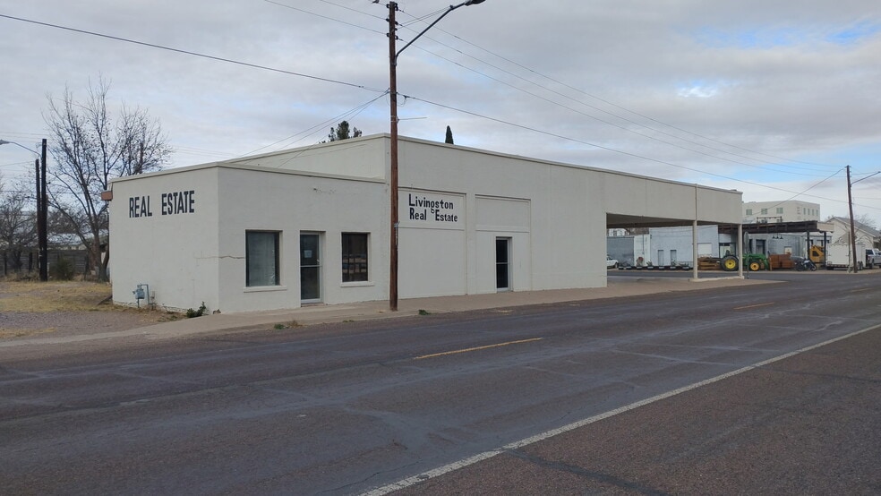 Primary Photo Of 208 W San Antonio St, Marfa Freestanding For Sale