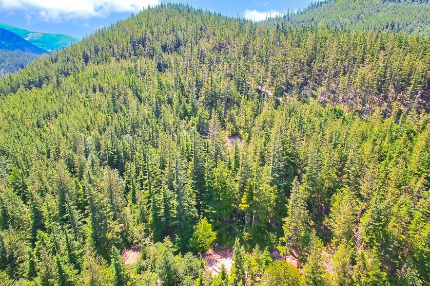 More Photos Of 32750 343rd Ave SE, Ravensdale Land For Sale