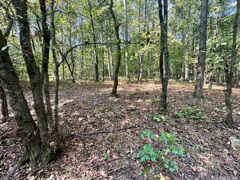 More Photos Of 00 Frix Rd, Cumming Land For Sale