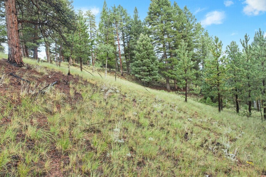More Photos Of 131 & 67 Lost Lake Cir, Divide Land For Sale