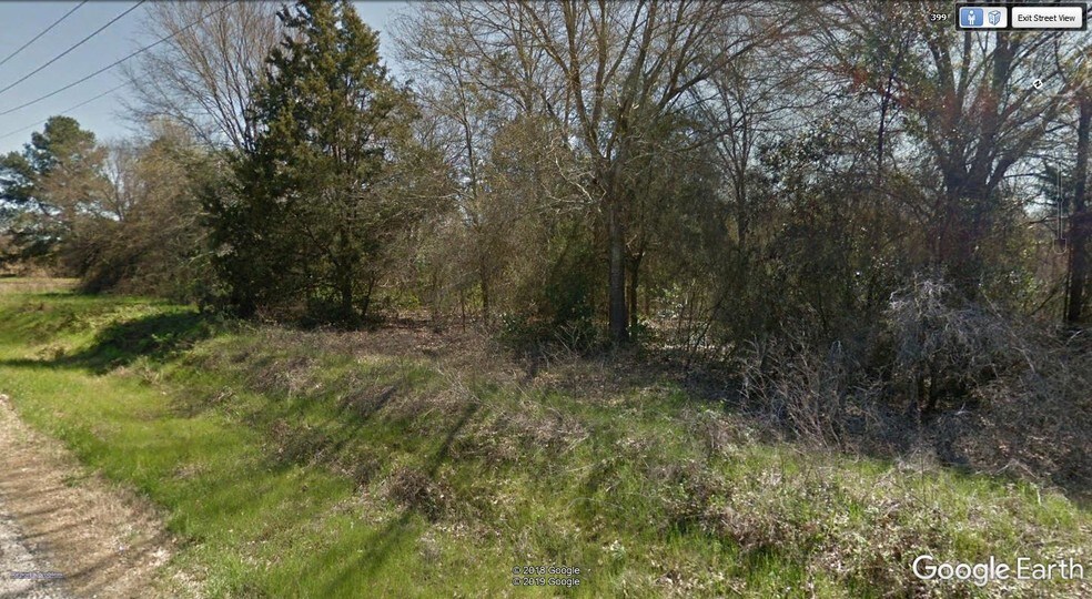 More Photos Of 3315 S Loop 256, Palestine Land For Sale