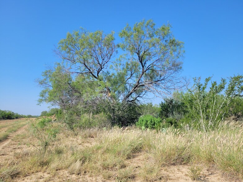 More Photos Of , Laredo Land For Sale