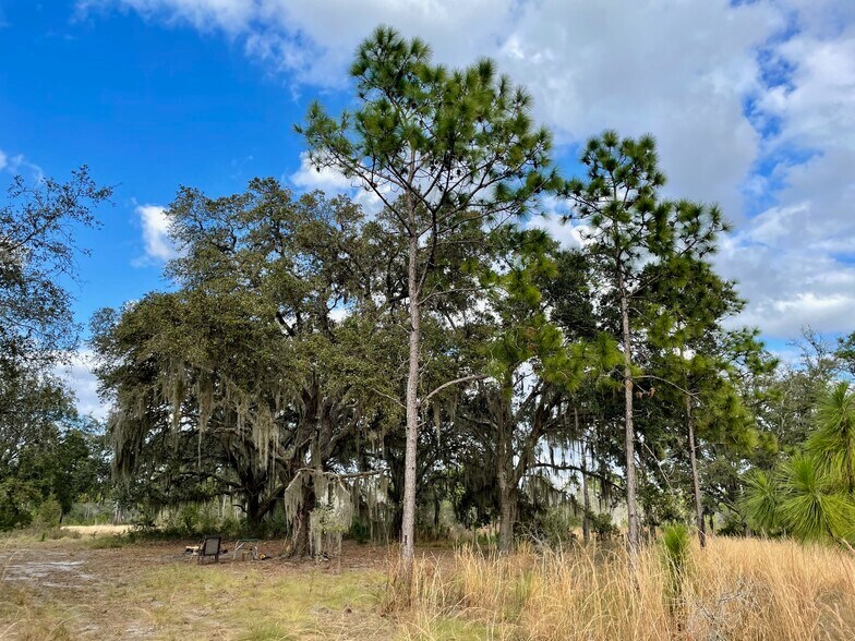 More Photos Of 19858 State Road 52, Land O' Lakes Land For Sale