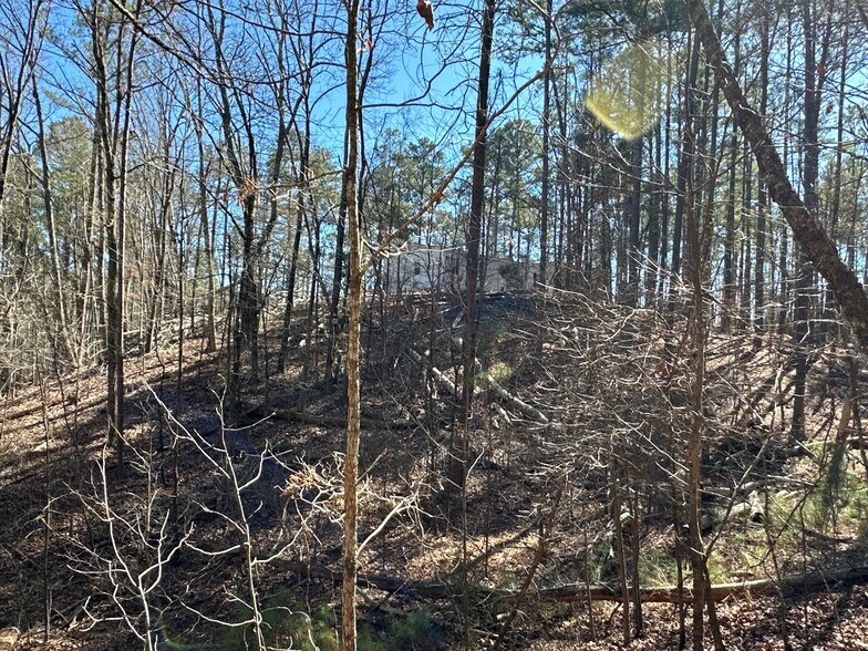More Photos Of 3472 Prior Station Rd, Cedartown Land For Sale