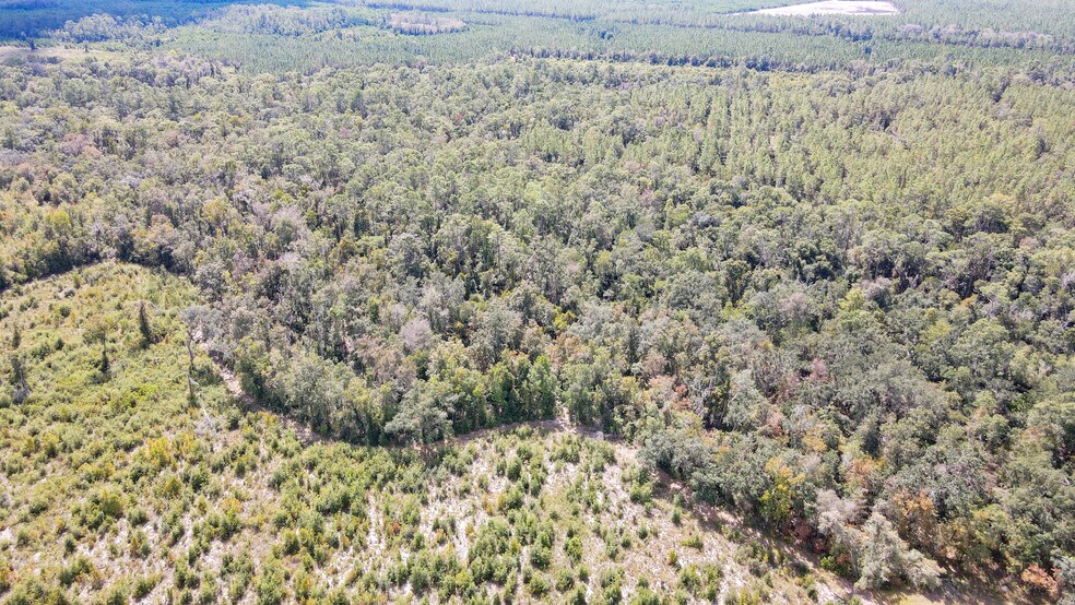 More Photos Of TBD NE 36th Drive Dr, Jasper Land For Sale