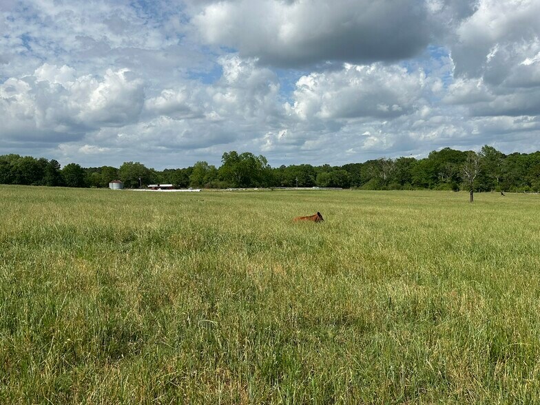 More Photos Of Millside Road, Laurel Hill Land For Sale