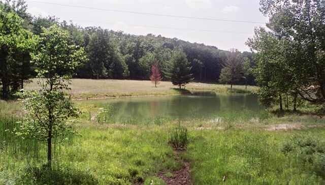 Primary Photo Of M-55 & M-37, Wellston Land For Sale