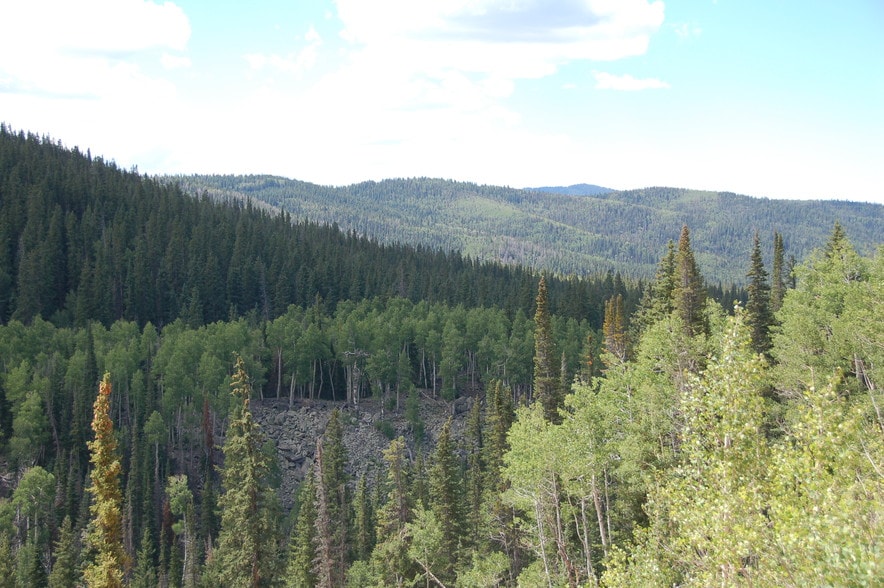 More Photos Of Lake Beaver E, Beaver Land For Sale