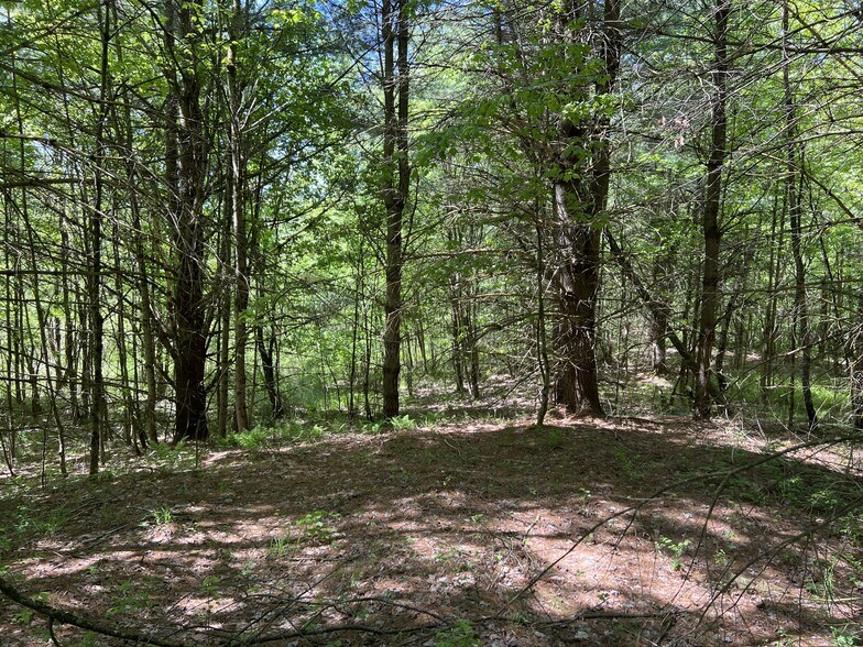 More Photos Of 5219 Rome Taberg Rd, Rome Land For Sale