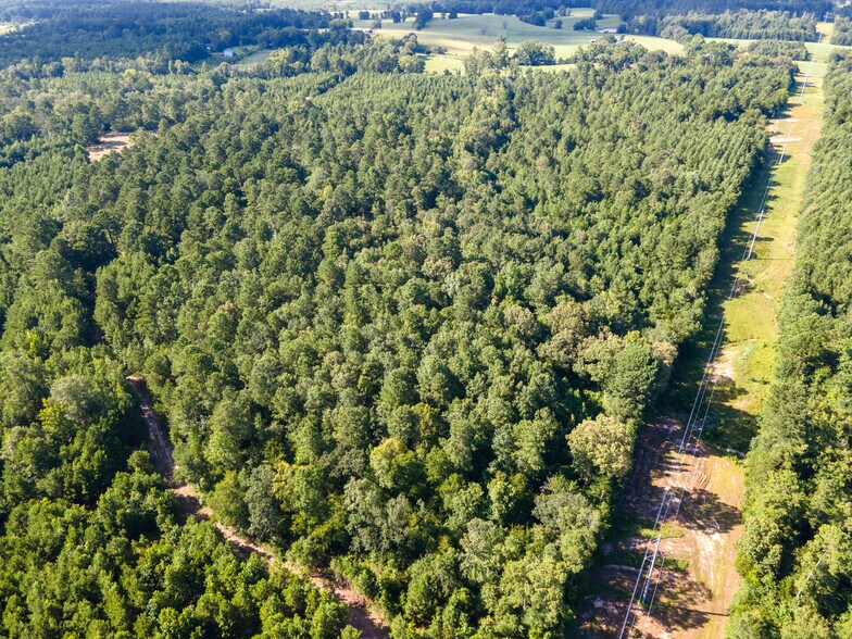 More Photos Of 2539 FM 995, Atlanta Land For Sale