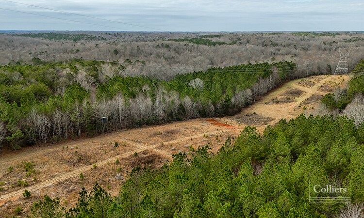 More Photos Of 00 Painter Road Rd, Pelzer Land For Sale