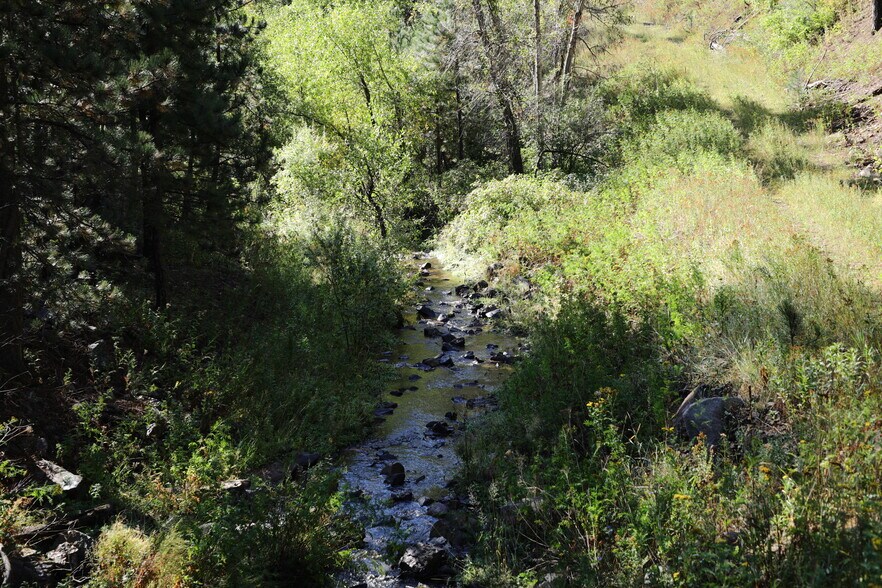 More Photos Of TBD Cutting Mine Road, Lead Land For Sale