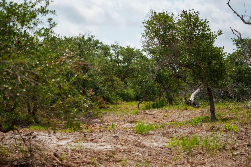 More Photos Of 704 South Highway 35 Byp, Rockport Land For Sale