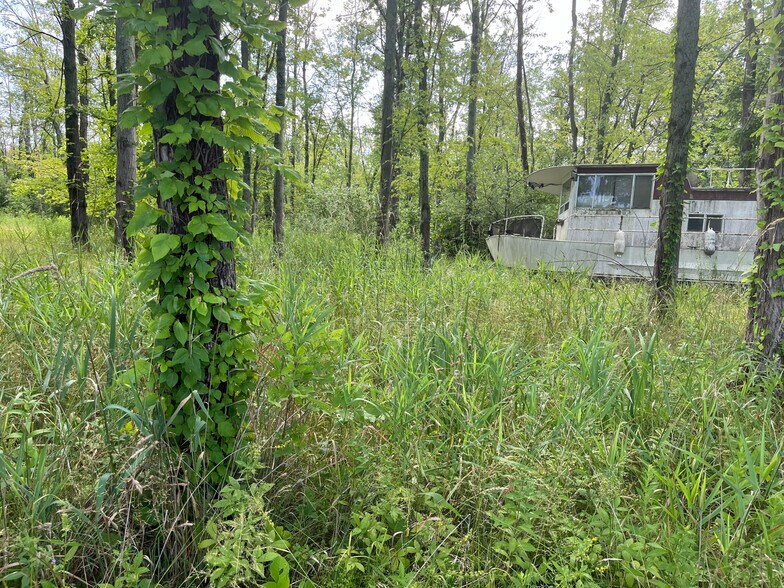 More Photos Of 9595 Horseshoe Island, Clay Land For Sale