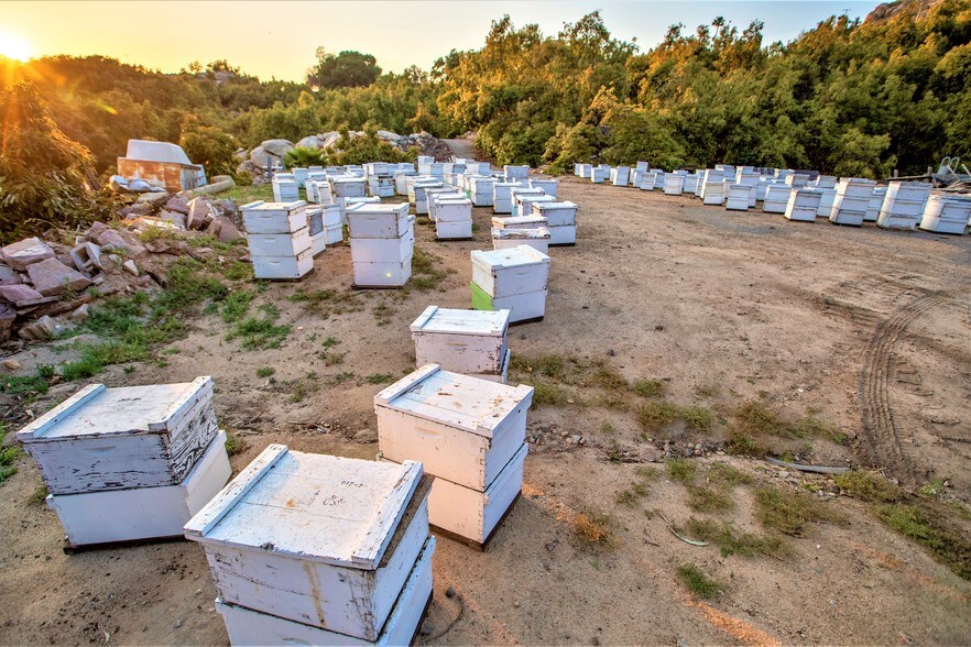 More Photos Of 6036 Rainbow Heights Rd, Fallbrook Land For Sale