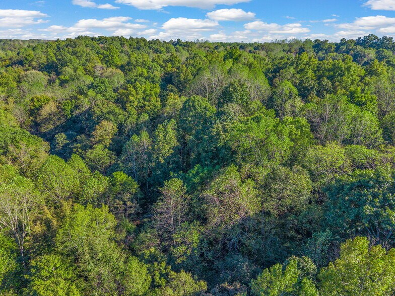 More Photos Of 0 Cox Hollow Rd, Dover Land For Sale