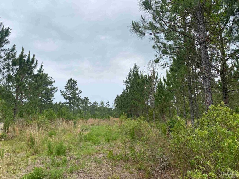 More Photos Of Walther Rd, Milton Land For Sale