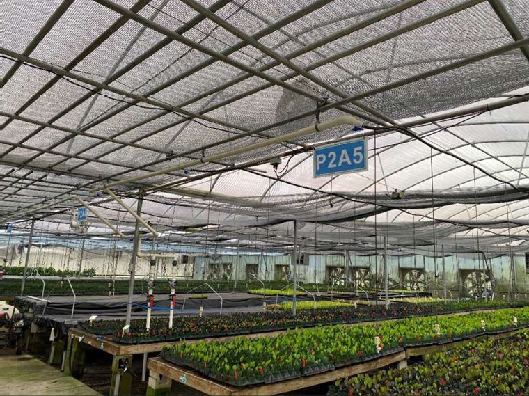 More Photos Of 17936 W Phil C Peters Rd, Winter Garden Garden Center For Sale