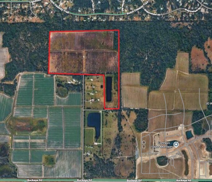 Primary Photo Of Buckeye Rd, Parrish Land For Sale