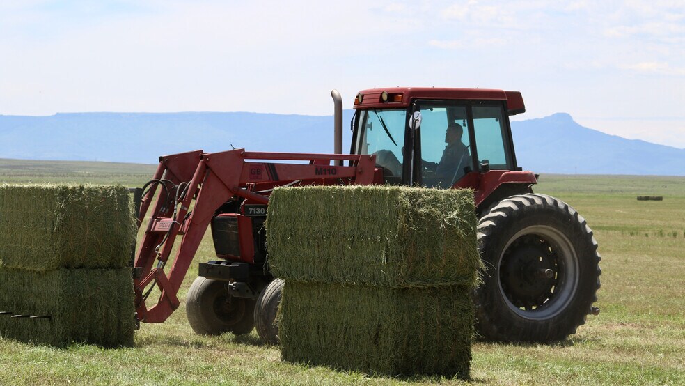 More Photos Of 48999 County Road 48, Model Land For Sale