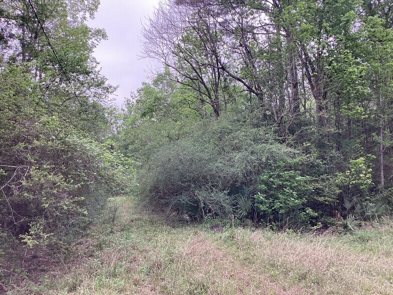 More Photos Of 0 County Road 4876, Dayton Land For Sale