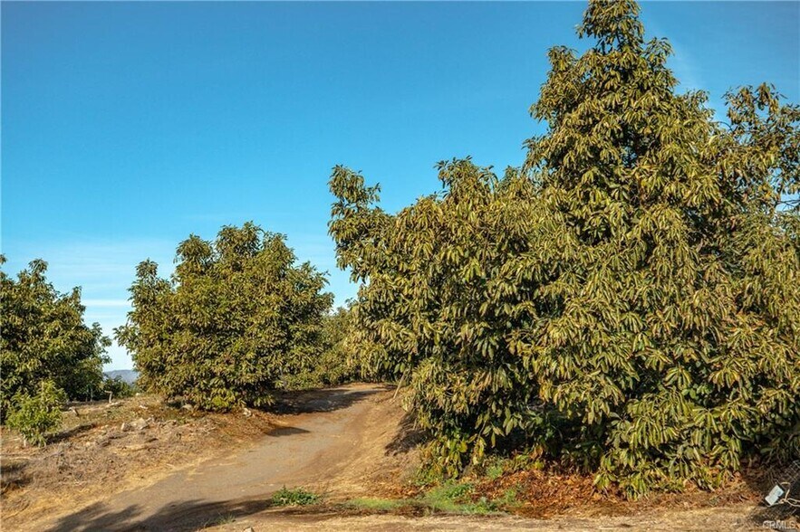 More Photos Of 0 Gopher Canyon Rd, Vista Land For Sale