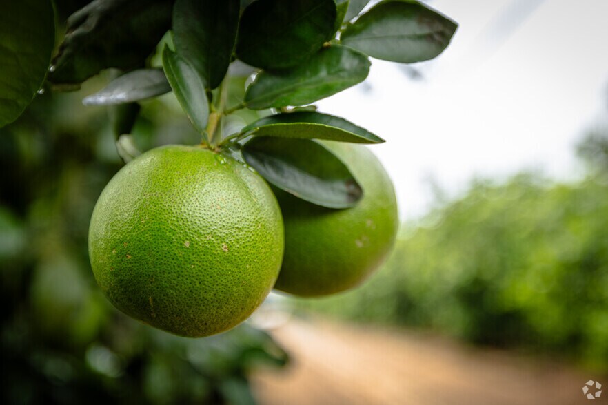 More Photos Of 2050 80 Foot Rd, Bartow Land For Sale