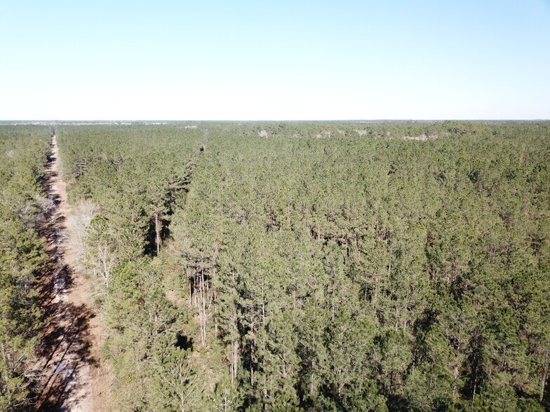 More Photos Of Corrigan Road, Vidor Land For Sale
