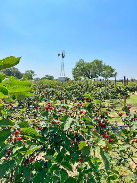 More Photos Of 995 W Gates Valley Rd, Poteet Land For Sale