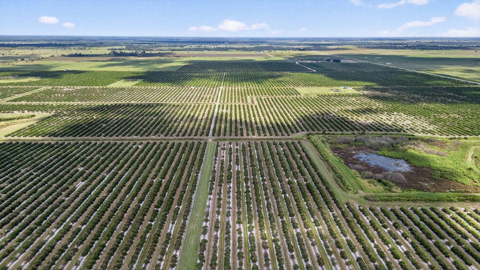 More Photos Of 8476 Ten Mile Grade, Zolfo Springs Land For Sale