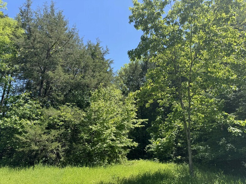 More Photos Of Highway 80 East, Gallion Land For Sale