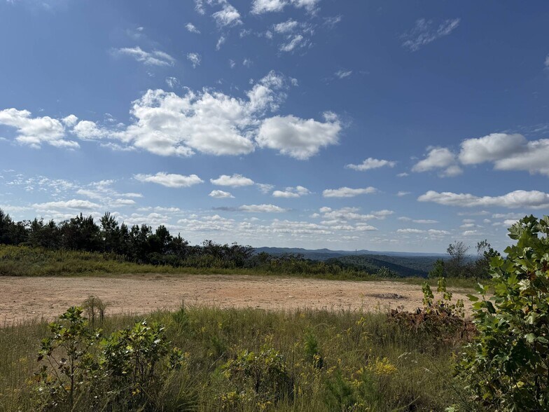 More Photos Of 6522 Old Springville Rd, Pinson Land For Sale