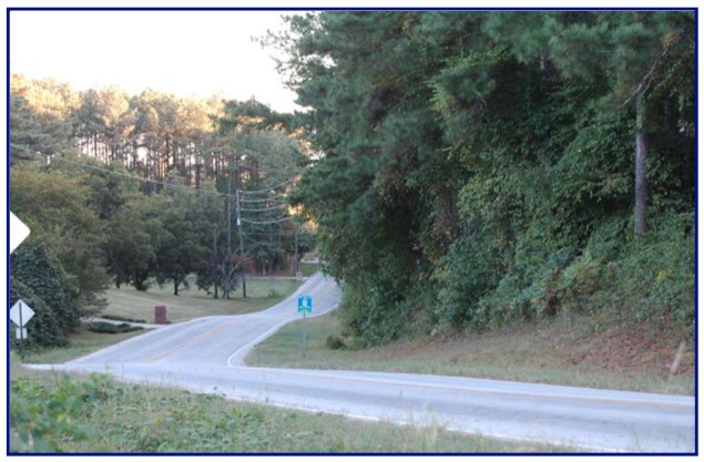 More Photos Of Mink Livsey Rd, Snellville Land For Sale