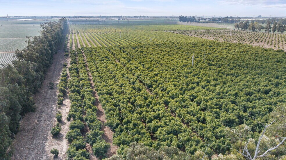 More Photos Of 0 Laguna Rd., Oxnard Land For Sale