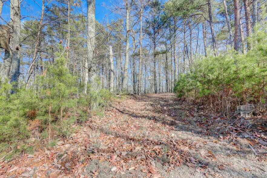 More Photos Of 1915 Tower Trl, Waleska Land For Sale