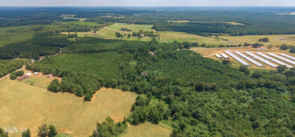 More Photos Of 829 Barnes rd, Athens Land For Sale