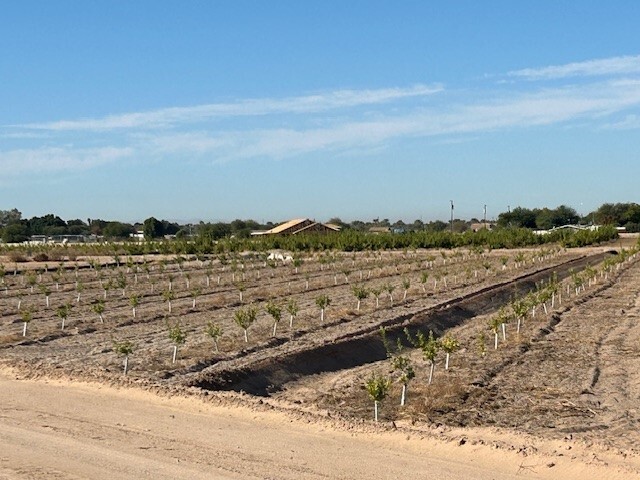 Primary Photo Of County 18th, Yuma Land For Sale