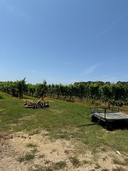 More Photos Of 221 N Delsea Dr, Cape May Court House Winery Vineyard For Sale