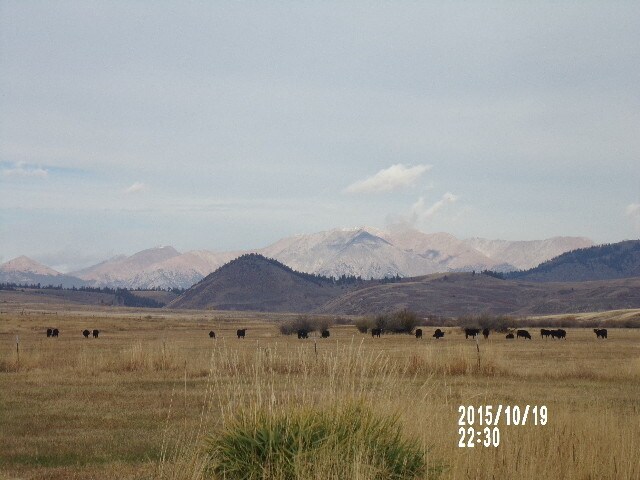 More Photos Of Vacant Highway 285, Villa Grove Land For Sale