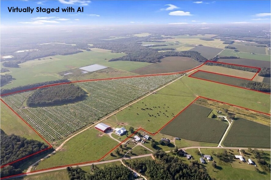 More Photos Of 5700 Pine Forest Rd, Walnut Hill Land For Sale