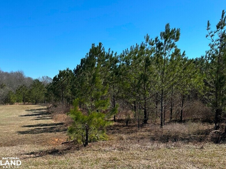 More Photos Of 0 E. Chanticleer Drive, Hattiesburg Land For Sale
