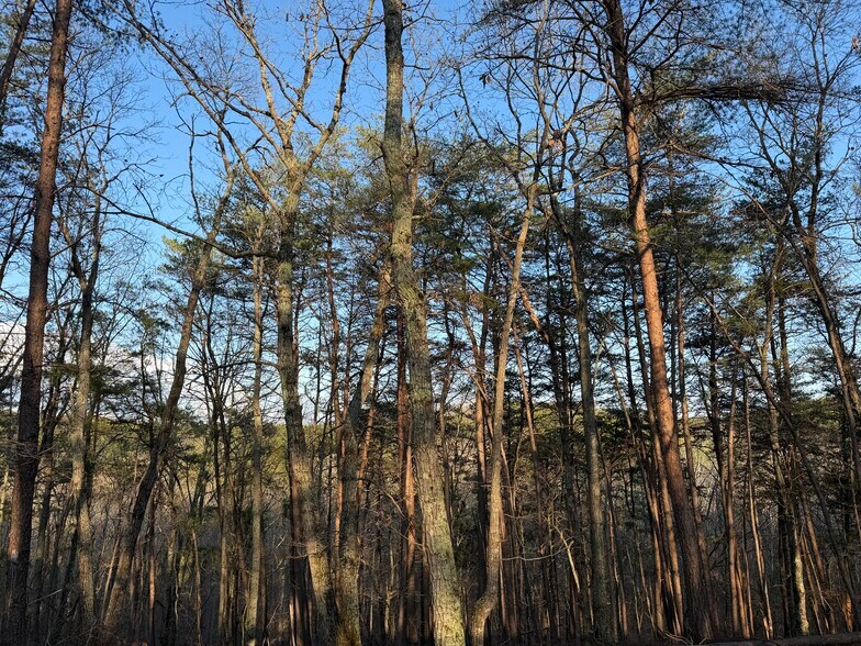 More Photos Of 260 Arnold Rd NE, Fairmount Land For Sale