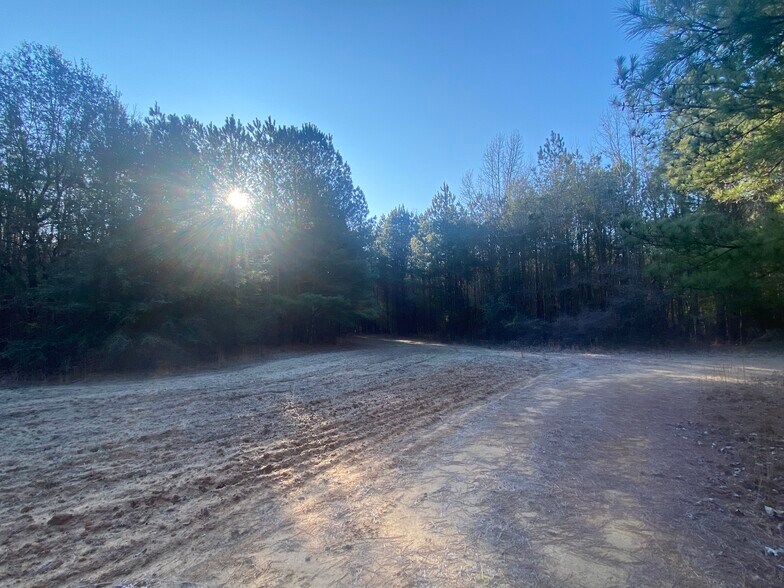 Primary Photo Of 1021 Ready Pond Rd, Batesburg-Leesville Land For Sale