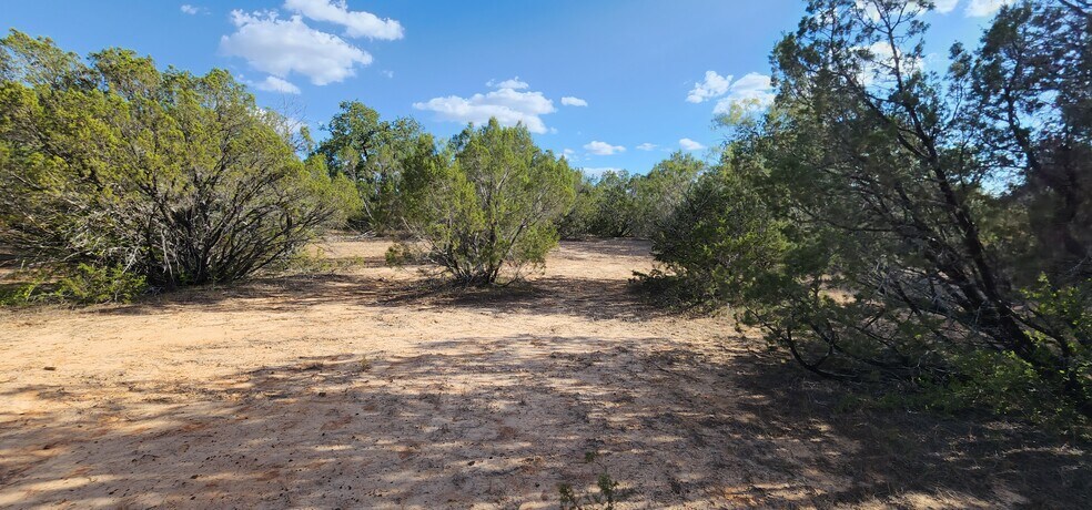 More Photos Of 18200 Lower Granbury, Stephenville Land For Sale