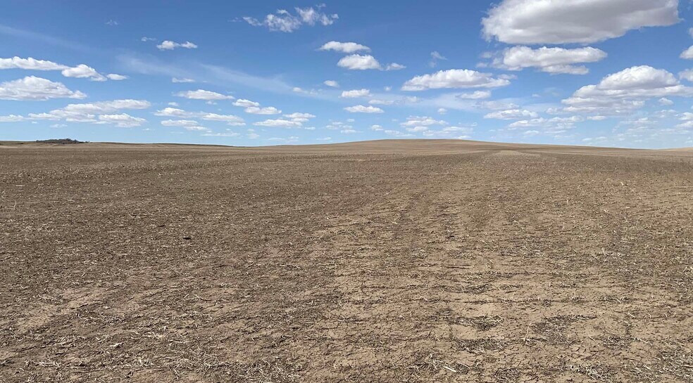 More Photos Of TBD Highway 63, Norris Land For Sale