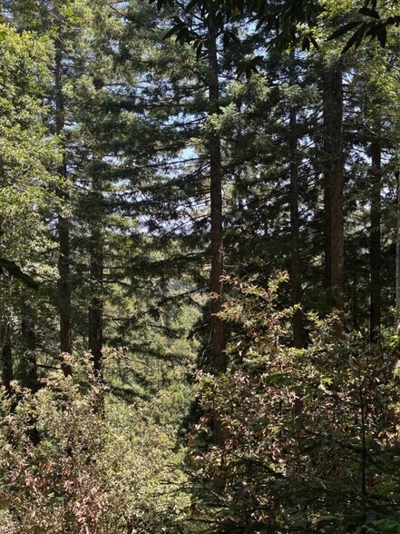 More Photos Of 21380 Siri rd, Guerneville Land For Sale